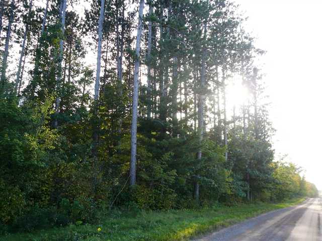 Xx Olson Road Mahtowa, MN 55707 - Photo 8 of 8 Gallery Image 8