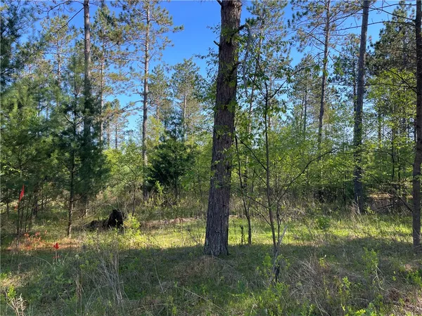 $45,900 | Lot 1 North Murphy Boulevard, Hayward, WI 54843