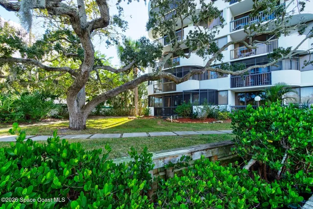 a view of a house with a big yard and large trees