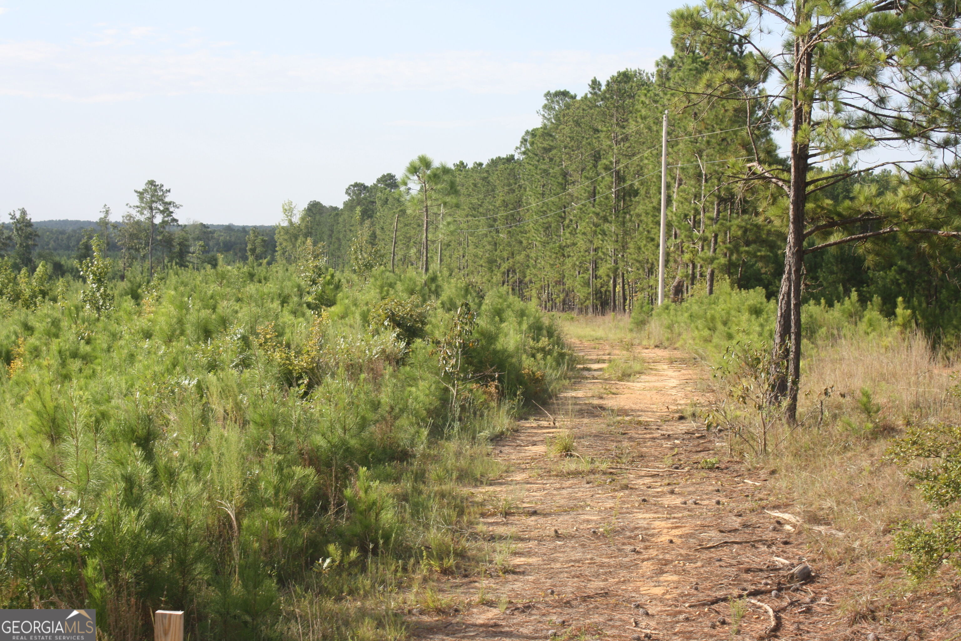 0 Balerma Church Road, Unit TRACT 2 Sparta, GA 31087 - Photo 2 of 19 Gallery Image 2