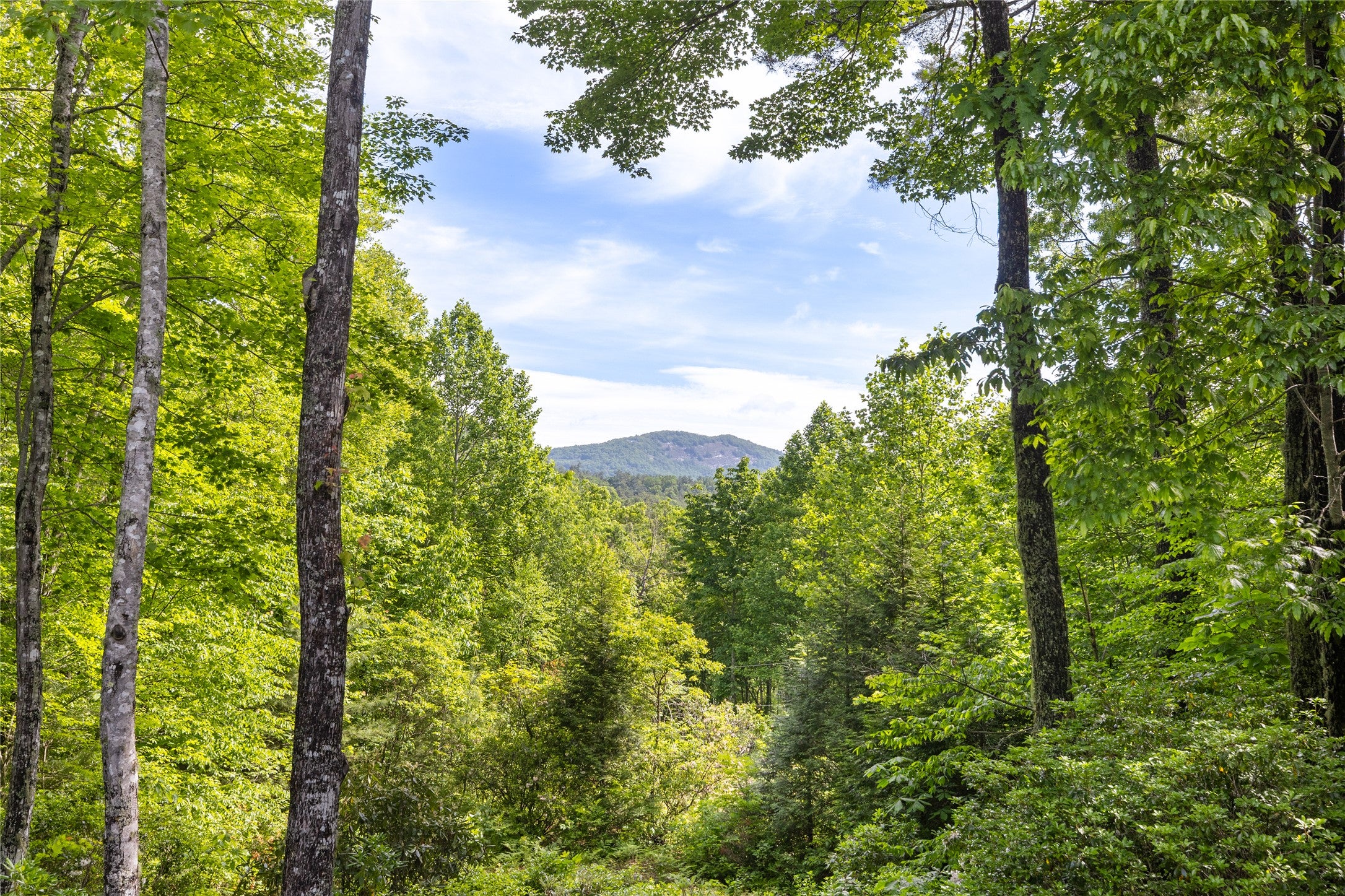 141 Old Ford Road Cashiers, NC 28717 - Photo 32 of 92 Gallery Image 32