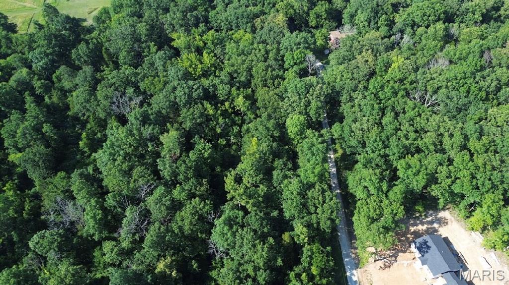 576 Grand Loop Catawissa, MO 63015 - Photo 11 of 18