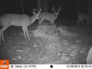 100 Big Sandy Road Mount Vernon, KY 40456 - Photo 34 of 34 Photo 34