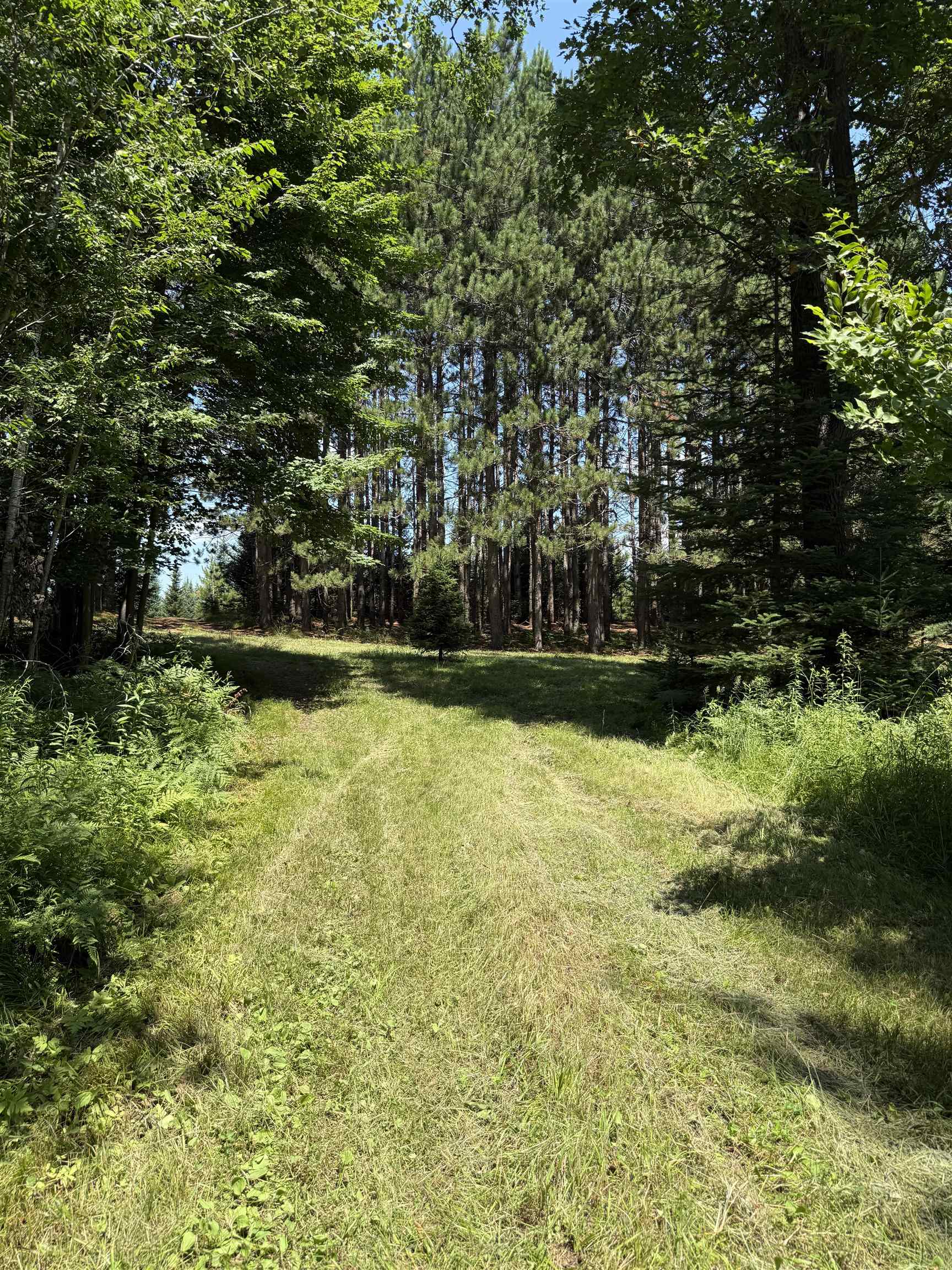 Red Hickory Road Eland, WI 54427 - Photo 21 of 28
