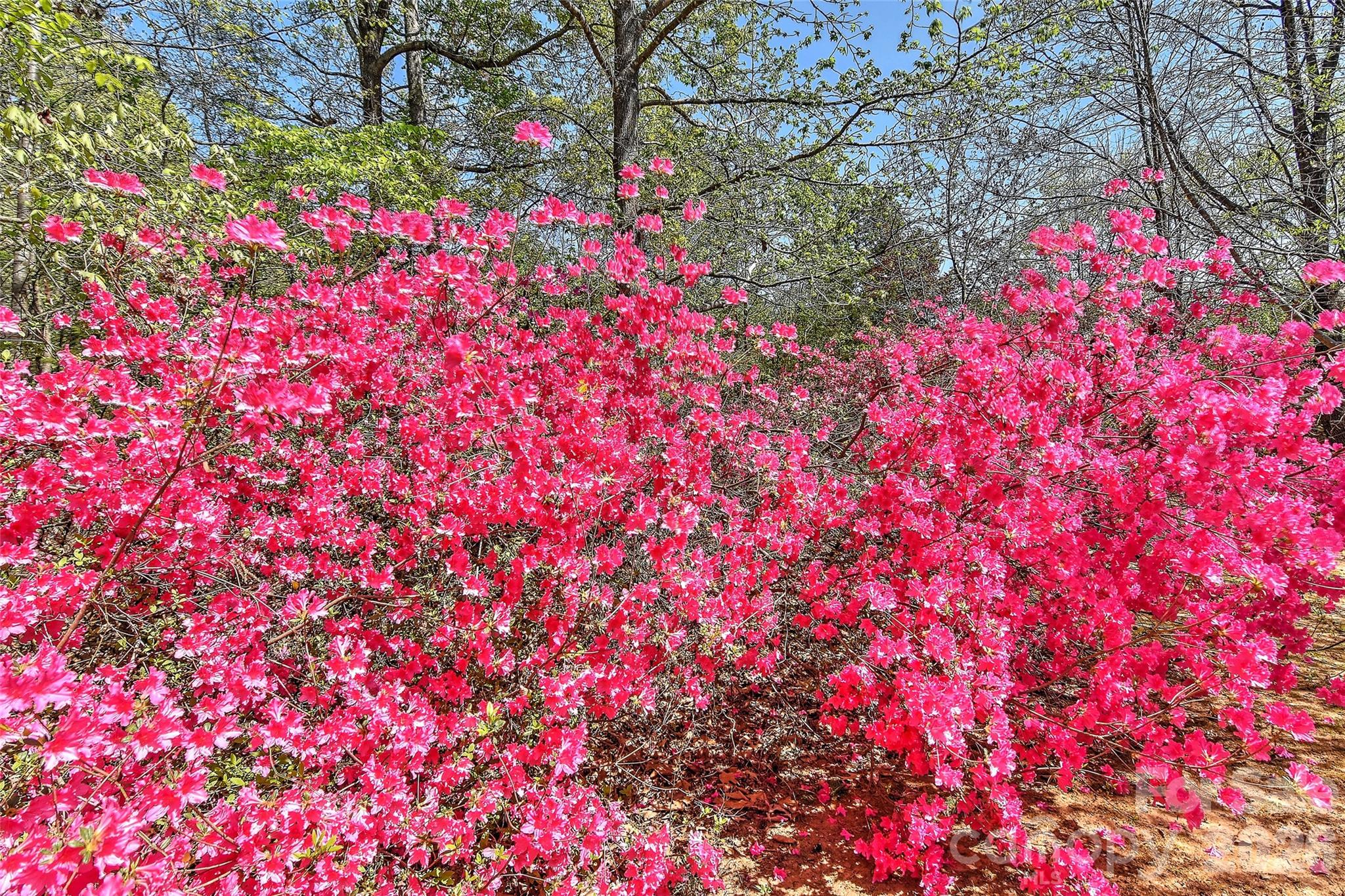 3329 Rusty Court Charlotte, NC 28227 - Photo 5 of 40