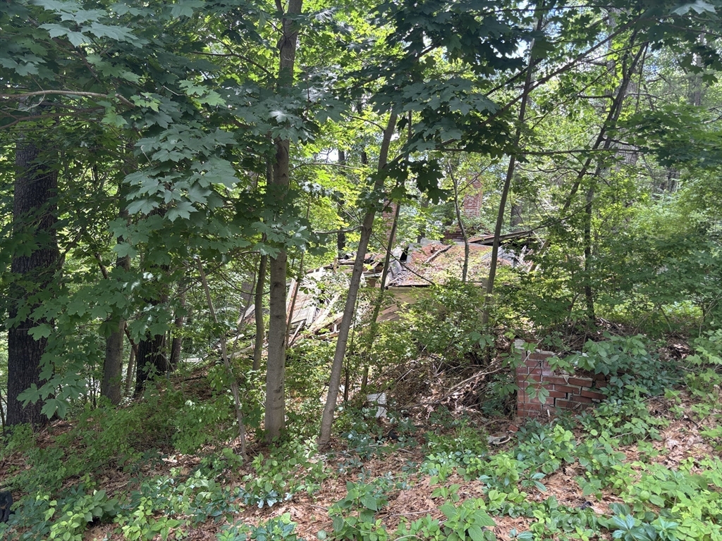 9 Georgia Road Groton, MA 01450 - Photo 23 of 28