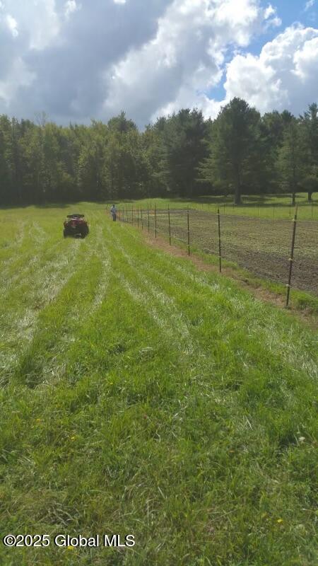 155 Andrews Road Carlisle, NY 12160 - Photo 11 of 47 image000000