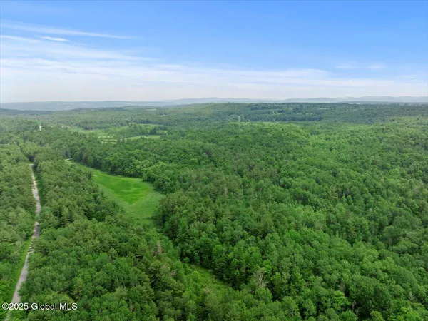 $895,000 | 155 Andrews Road, Carlisle, NY 12160