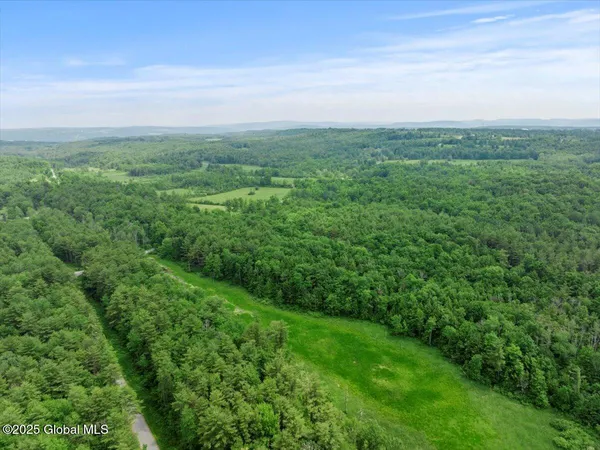 $895,000 | 155 Andrews Road, Carlisle, NY 12160