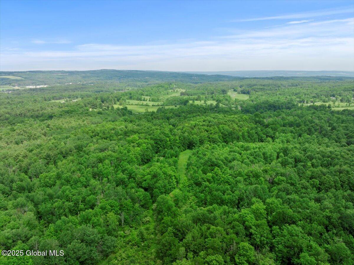 155 Andrews Road Carlisle, NY 12160 - Photo 40 of 47 56-DJI_20240617142701_0176_D_DIGITAL
