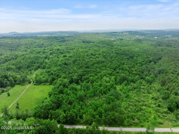 $895,000 | 155 Andrews Road, Carlisle, NY 12160