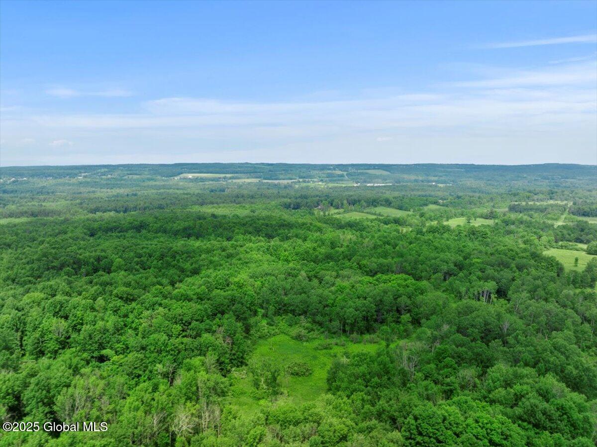 155 Andrews Road Carlisle, NY 12160 - Photo 42 of 47 67-DJI_20240617143640_0209_D_DIGITAL