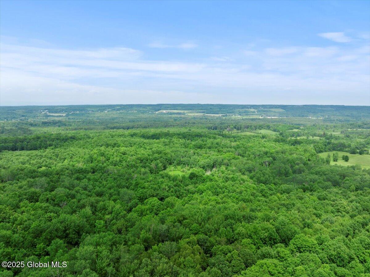 155 Andrews Road Carlisle, NY 12160 - Photo 43 of 47 66-DJI_20240617143608_0206_D_DIGITAL