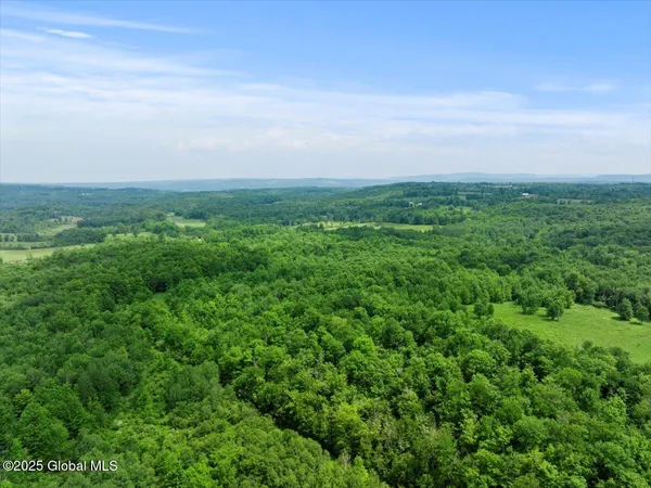 $895,000 | 155 Andrews Road, Carlisle, NY 12160