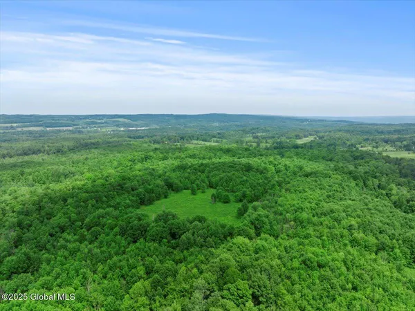 $895,000 | 155 Andrews Road, Carlisle, NY 12160