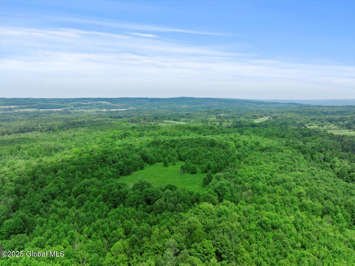 155 Andrews Road Carlisle, NY 12160 - Photo 45 of 47 68-DJI_20240617143721_0212_D_DIGITAL