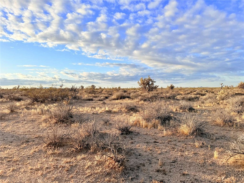 20030 South Billy The Kid Road Yucca, AZ 86438 - Photo 20 of 20
