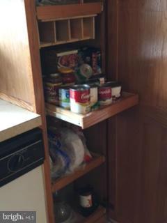 3625 Clarenell Road Baltimore, MD 21229 - Photo 11 of 26 Pantry drawers