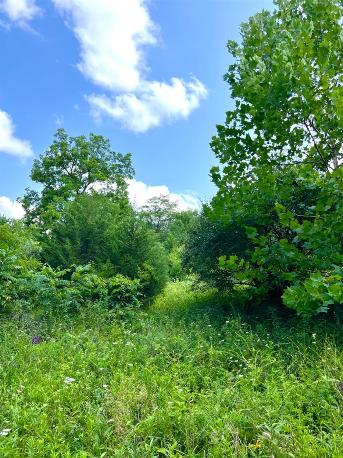 0 Brier Ridge Road West Union, OH 45693 - Photo 27 of 98