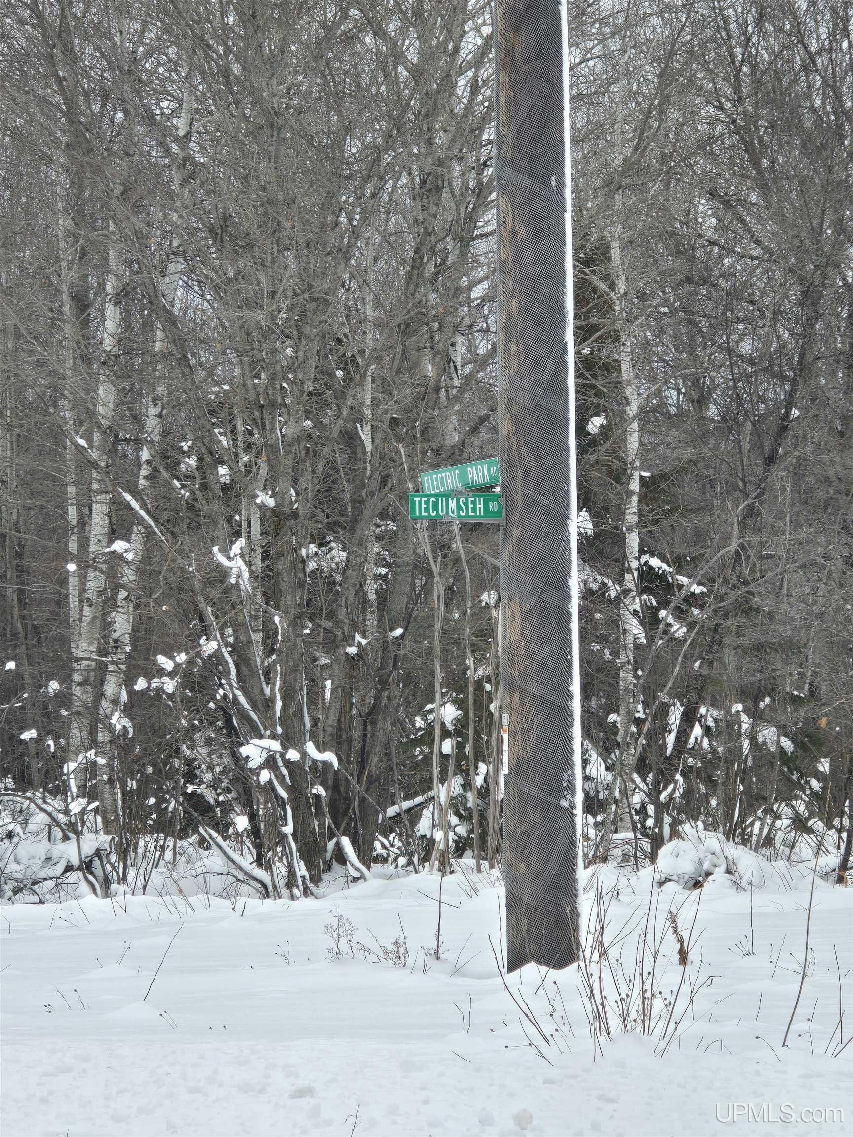 Tbd Electric Park Road Calumet, MI 49913 - Photo 3 of 10
