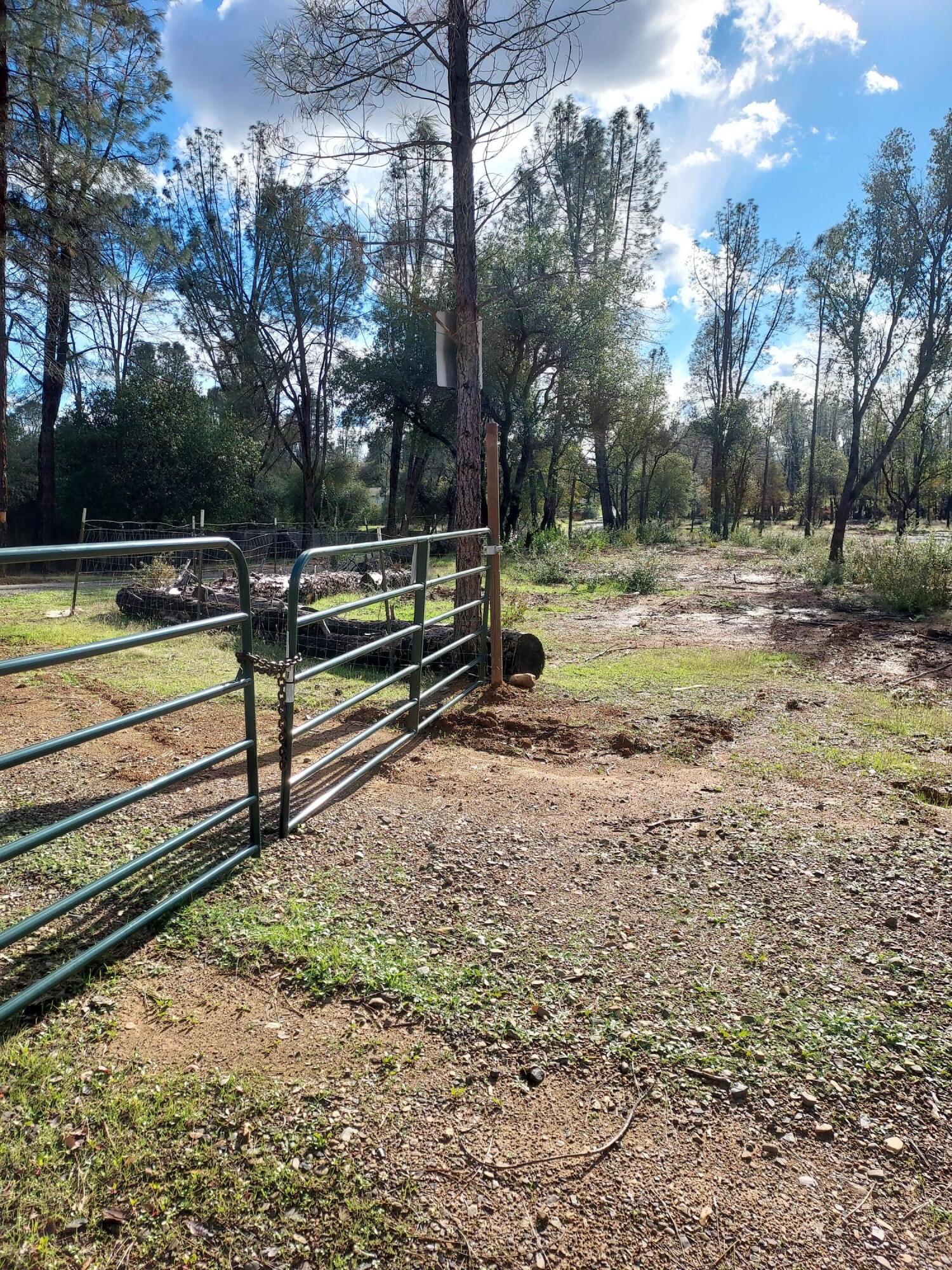 3082-3060 Keswick Dam Road Redding, CA 96003 - Photo 11 of 25 a view of backyard with trees