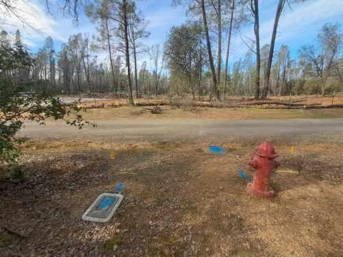3082-3060 Keswick Dam Road Redding, CA 96003 - Photo 12 of 25 a backyard of water with lots of trees