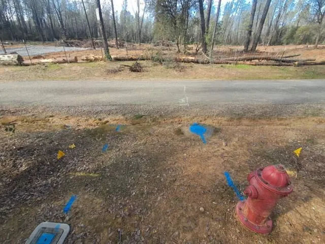 a view of dirt yard with a large tree