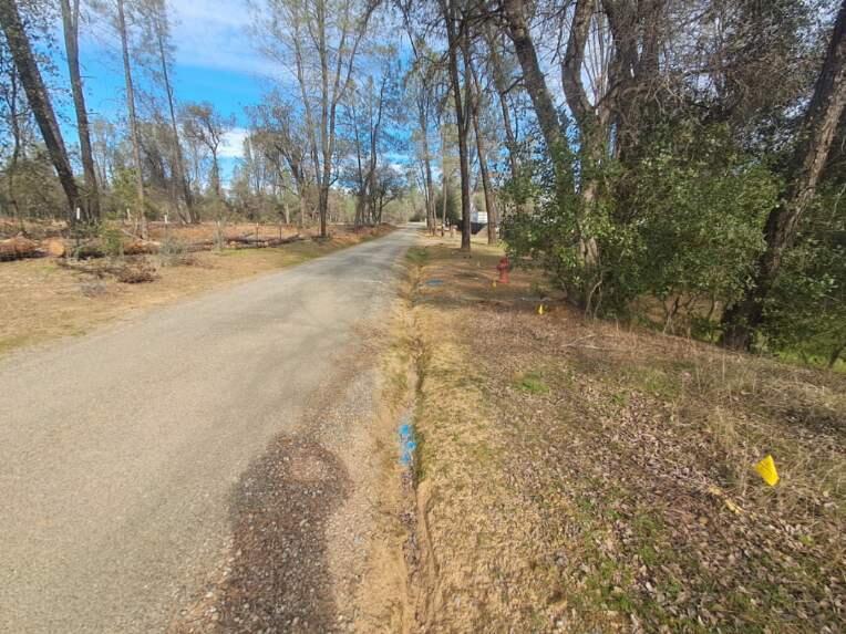 3082-3060 Keswick Dam Road Redding, CA 96003 - Photo 14 of 25 a view of dirt yard with a large tree