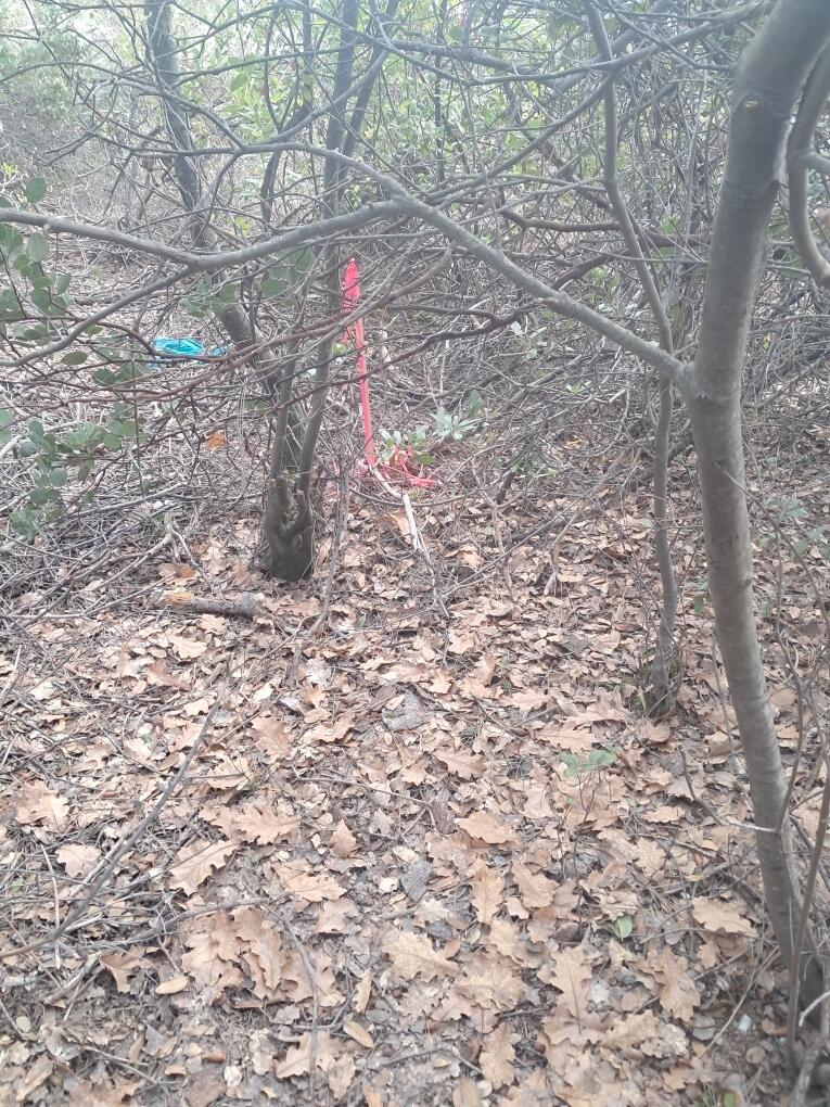 3082-3060 Keswick Dam Road Redding, CA 96003 - Photo 15 of 25 a backyard of a house with large trees