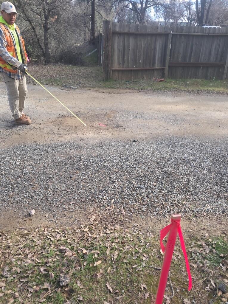 3082-3060 Keswick Dam Road Redding, CA 96003 - Photo 16 of 25 a view of backyard with tree
