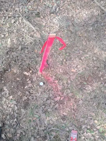 a backyard of a building