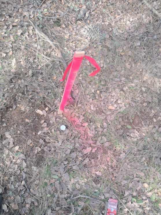 3082-3060 Keswick Dam Road Redding, CA 96003 - Photo 19 of 25