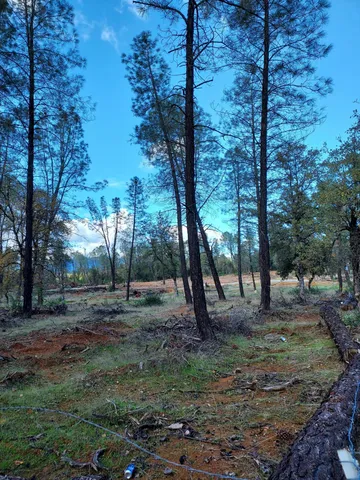 a view of outdoor space with trees