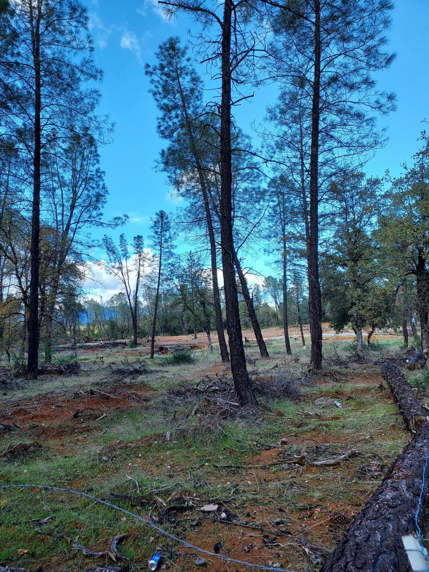 3082-3060 Keswick Dam Road Redding, CA 96003 - Photo 2 of 25 a view of outdoor space with trees