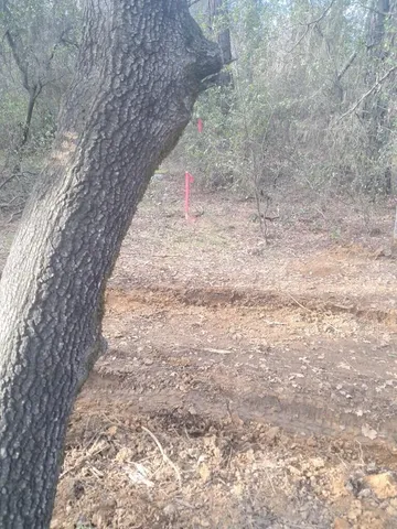 a view of a dry yard with green space