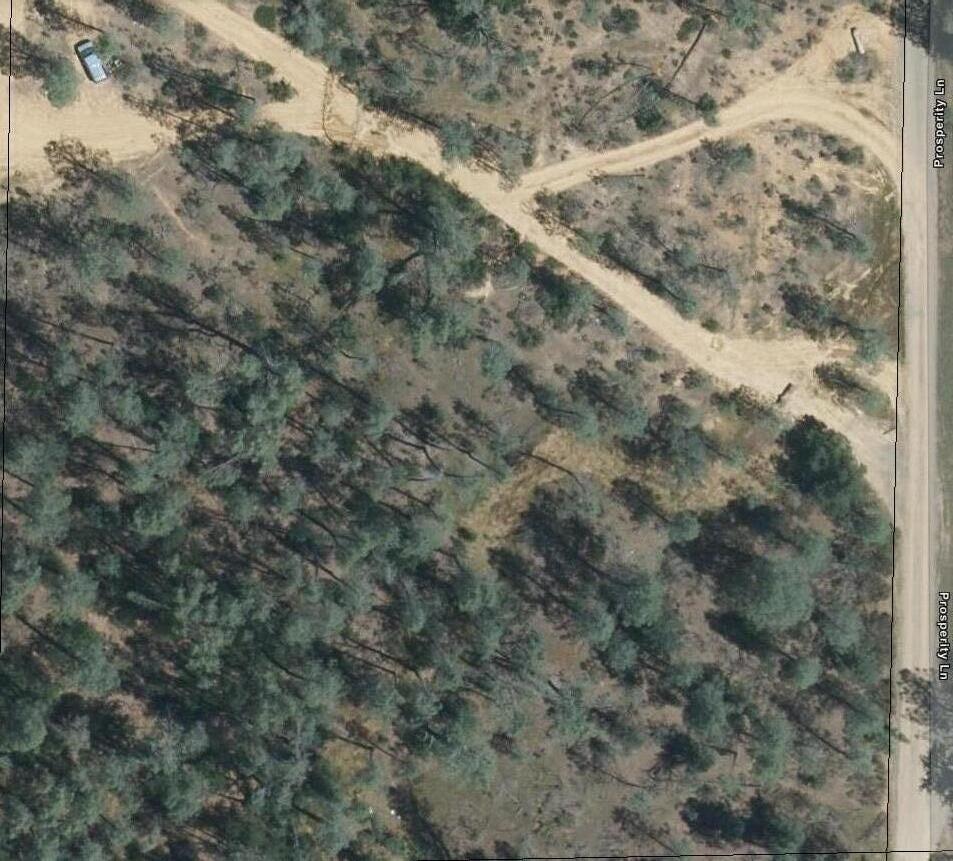 3082-3060 Keswick Dam Road Redding, CA 96003 - Photo 22 of 25 a view of a forest with a forest