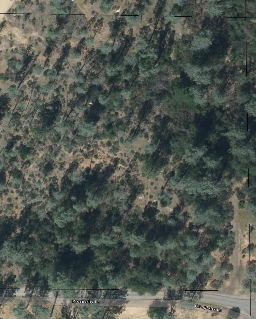 3082-3060 Keswick Dam Road Redding, CA 96003 - Photo 24 of 25 a view of a dry yard with green space