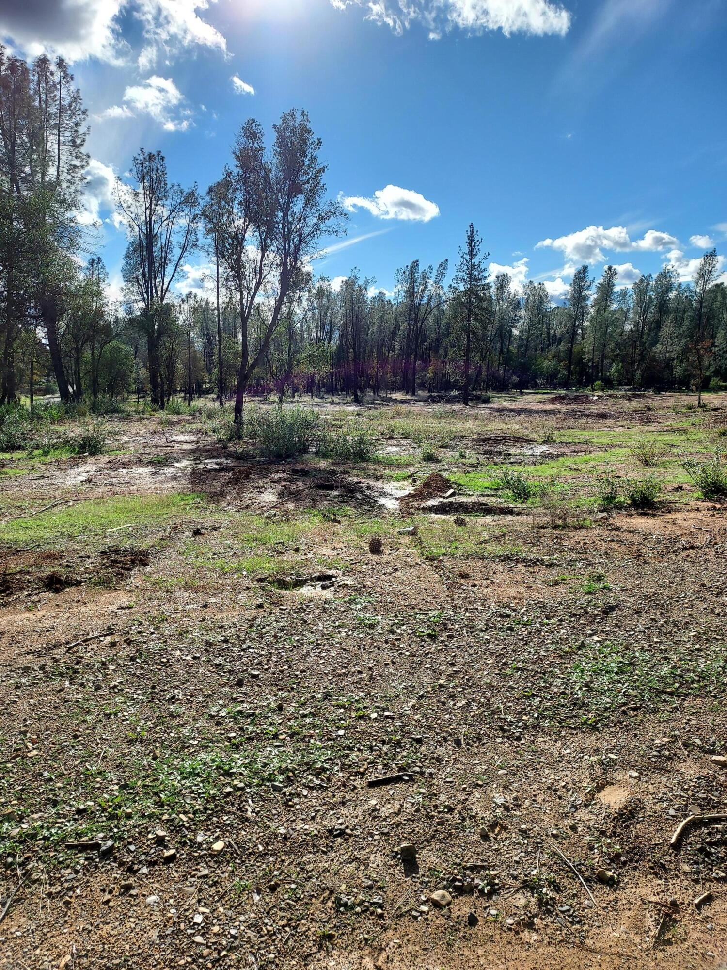 3082-3060 Keswick Dam Road Redding, CA 96003 - Photo 3 of 25 a view of a backyard with green space