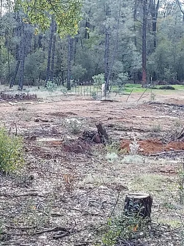 a view of a yard with wooden fence