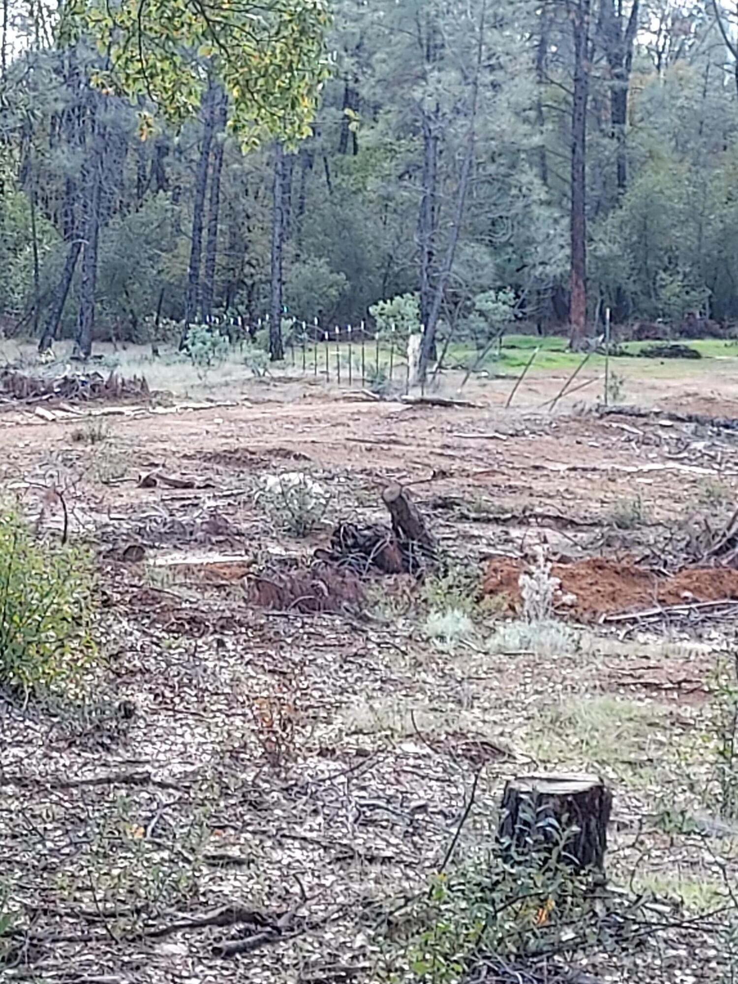 3082-3060 Keswick Dam Road Redding, CA 96003 - Photo 6 of 25 a fire hydrant in the middle of a field