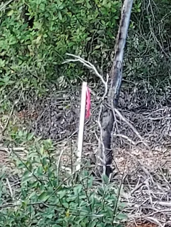 $69,000 | 3082-3060 Keswick Dam Road, Redding, CA 96003