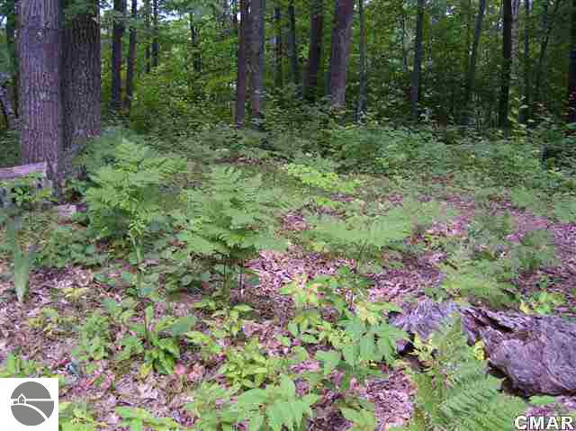 Tbd Tbd Cedar Road Lake, MI 48632 - Photo 4 of 5 1765564-3.JPG