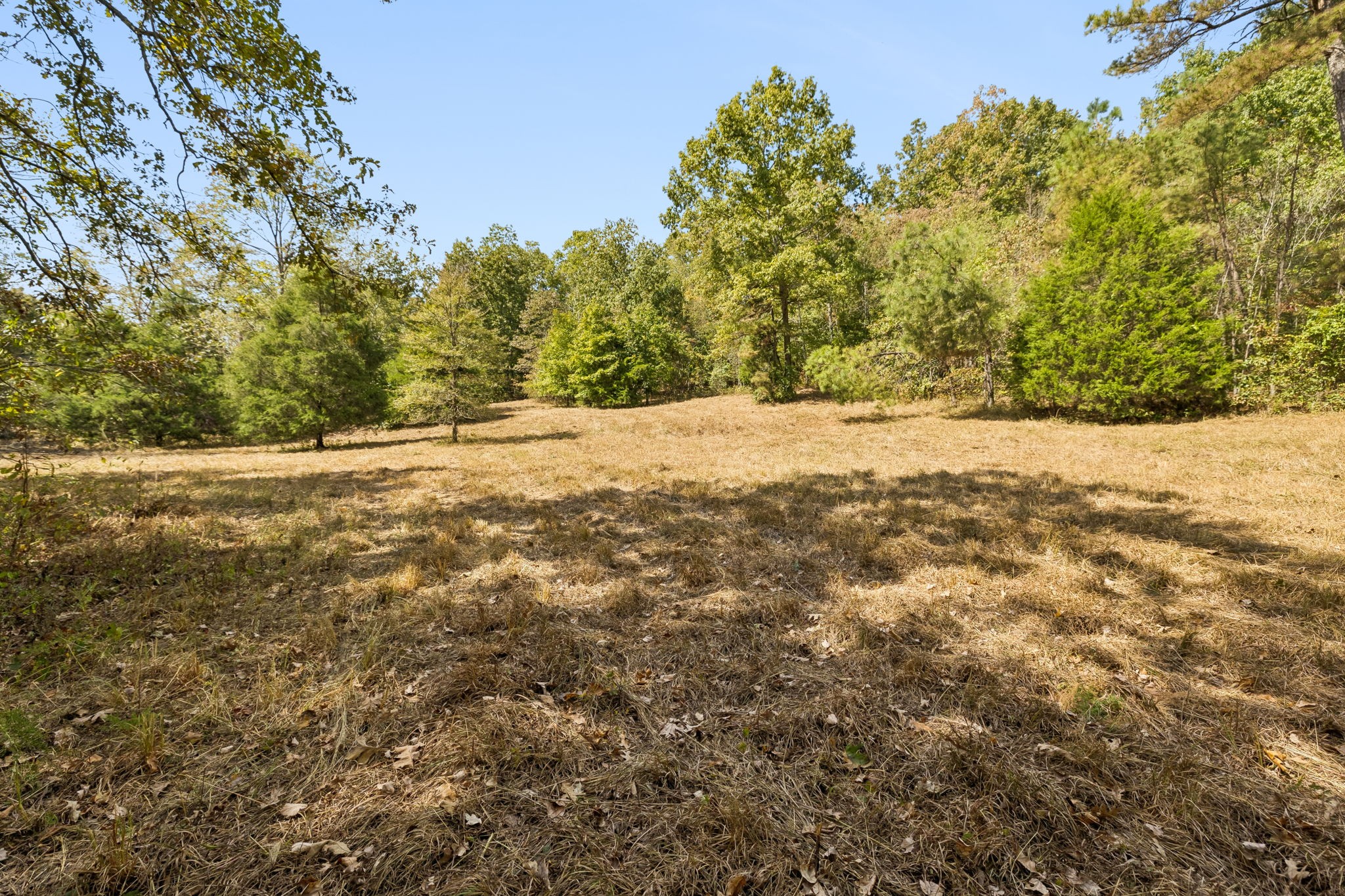 3600 Dee O'Guin Road Centerville, TN 37033 - Photo 37 of 43 Gallery Image 37