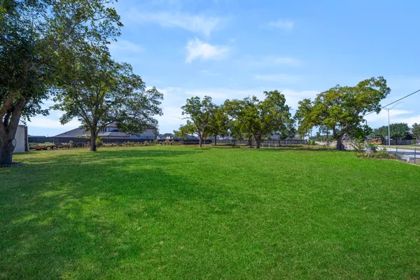 a view of yard with grass & palm trees