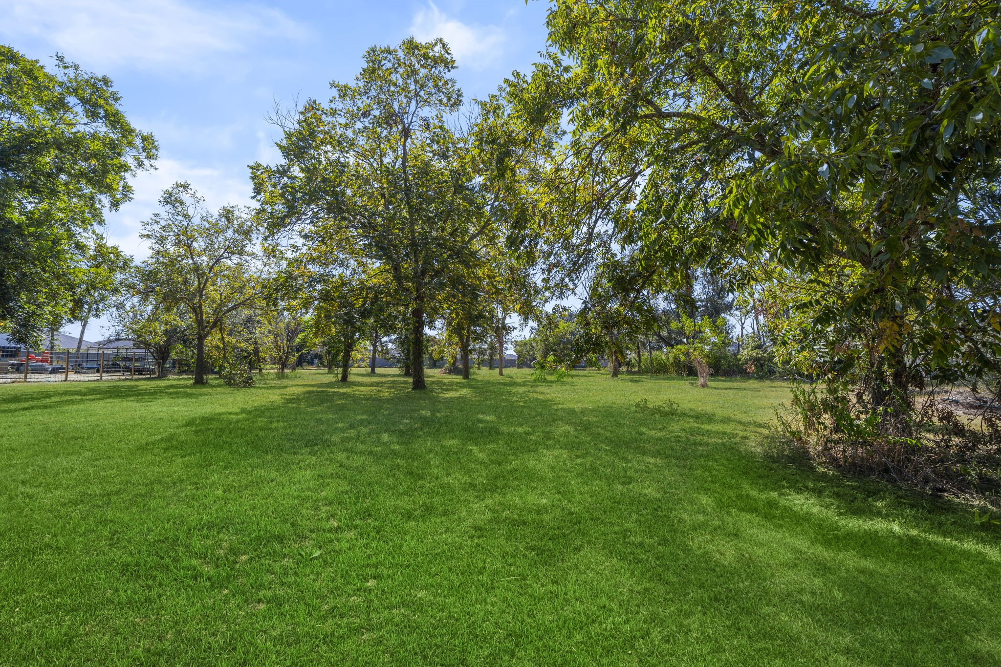 5418 Bryan Road Rosenberg, TX 77469 - Photo 42 of 49 a view of green field with trees in the background