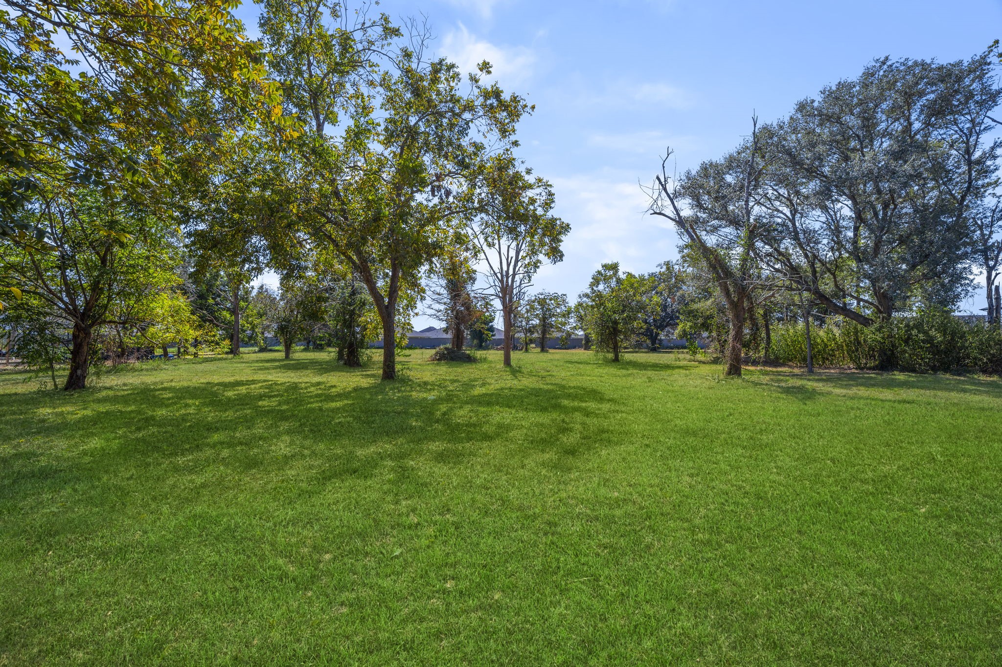 5418 Bryan Road Rosenberg, TX 77469 - Photo 43 of 49 a view of green field