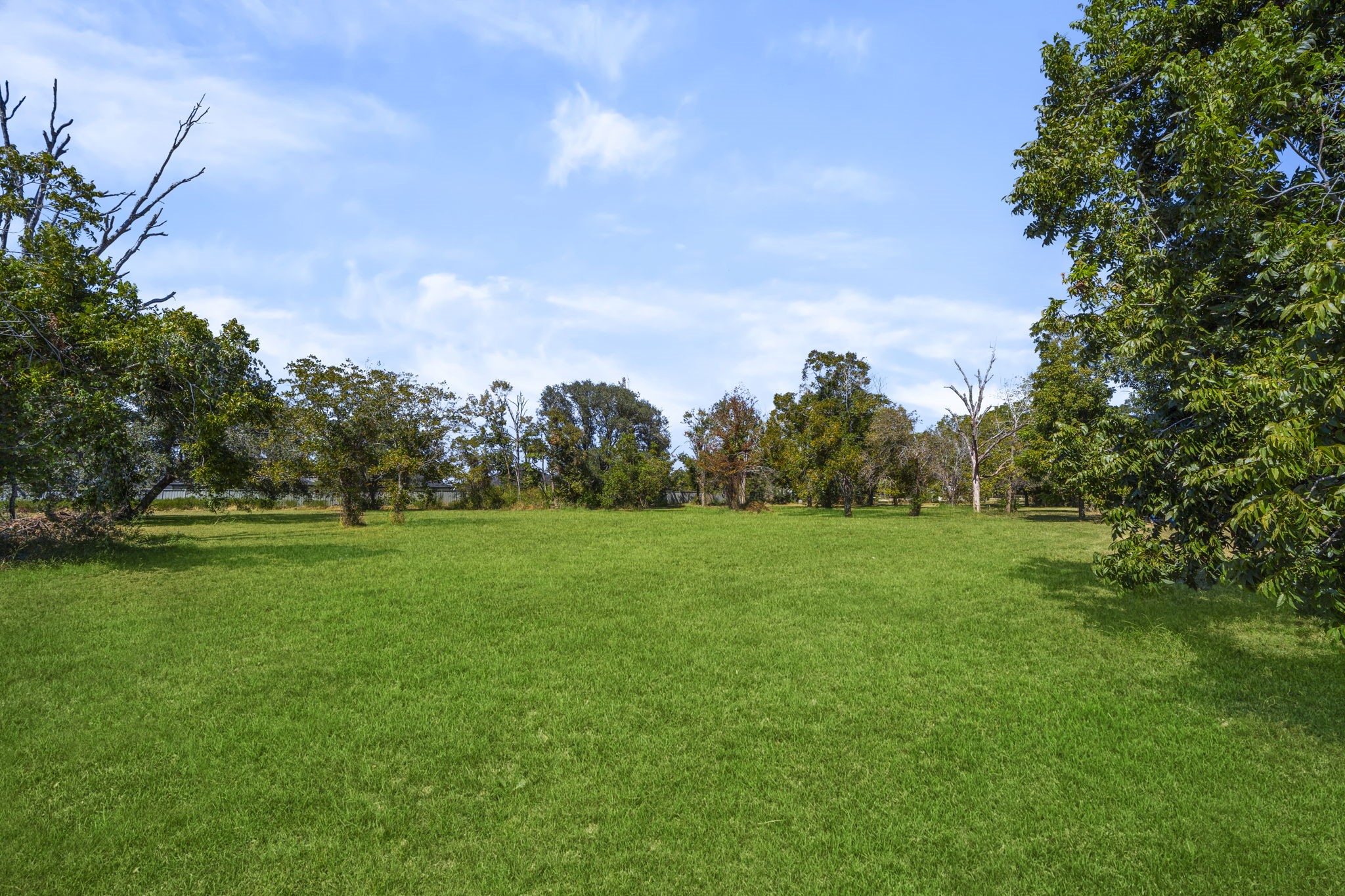 5418 Bryan Road Rosenberg, TX 77469 - Photo 47 of 49 a view of field with trees in the background