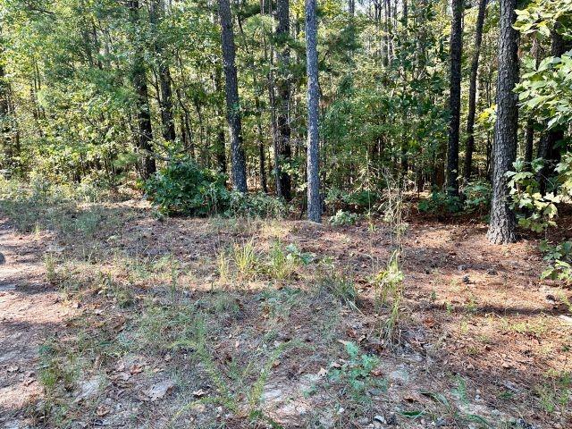 7-th 7th Court Ground Road Temple, GA 30179 - Photo 1 of 1 a view of a forest with trees in the background