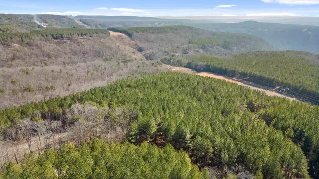 $233,000 | 0 Wildlife Way, Guild, TN 37340