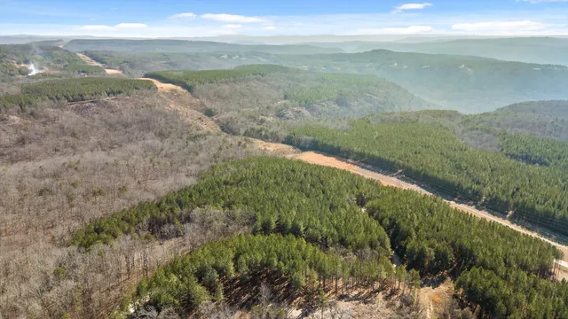 $233,000 | 0 Wildlife Way, Guild, TN 37340